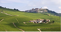 Langhe Langhe