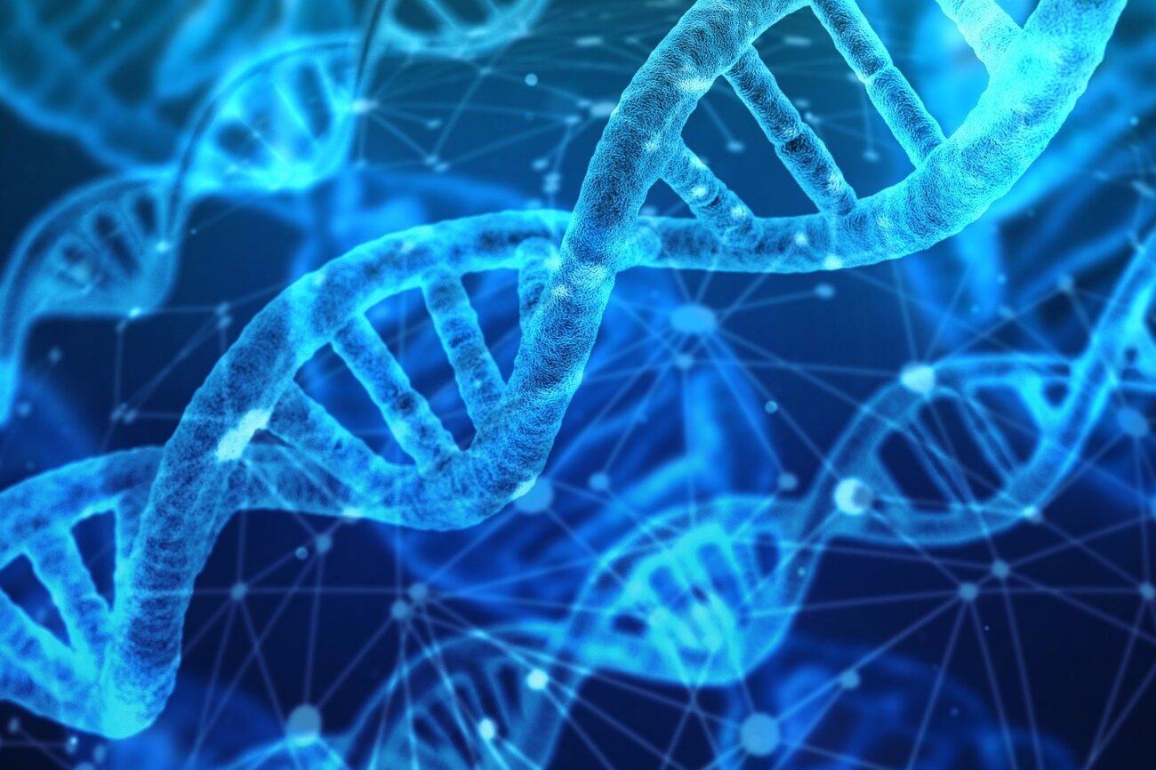 dna 1