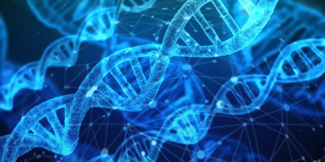 dna 1